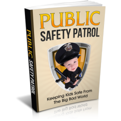 Public Safety Patrol 